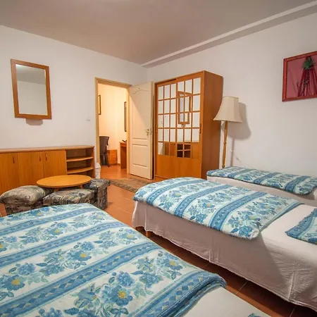 شقة فندقية Beach Hostel Balatonboglar *